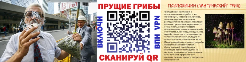 Псилоцибиновые грибы мицелий  MEGA ONION  Чадан 